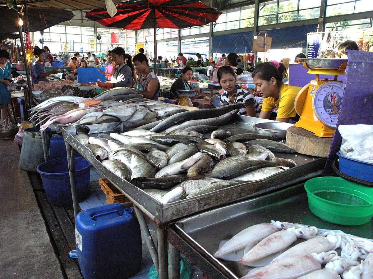 Hel fisk ligger på rad på et fiskemarked